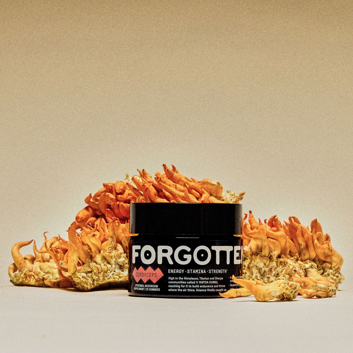 Cordyceps 777 Gummies