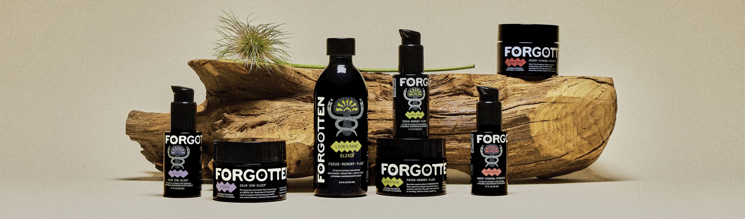 Forgotten functional mushroom supplements