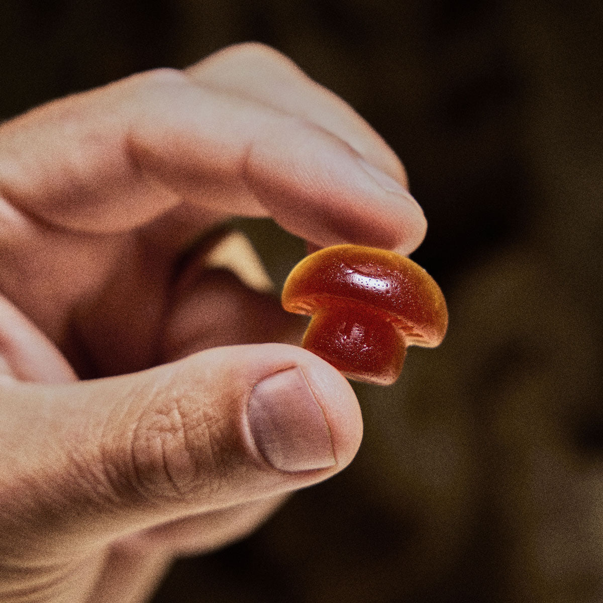 Cordyceps 777 Gummies