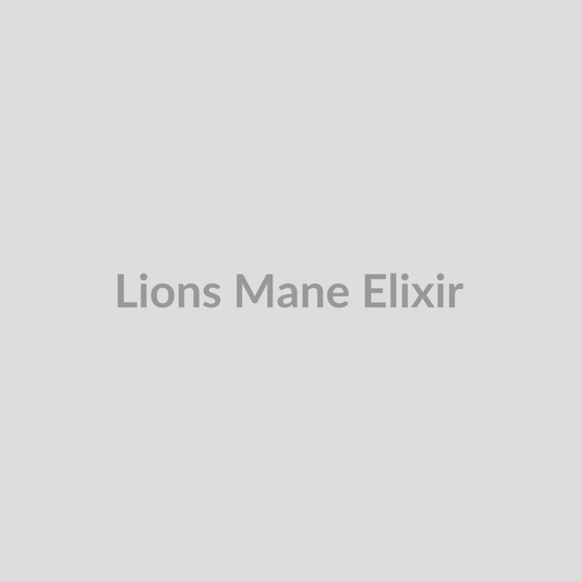Lion's Mane Elixir placeholder